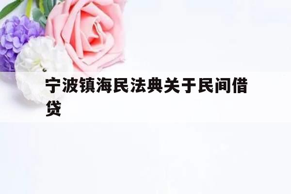 宁波镇海民法典关于民间借贷_中国民法典2020年颁布对民间借贷的规定